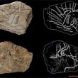 Découverte de tablettes gravées vieilles de 14 000 ans