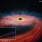 Des astronomes observent les entrailles d'une étoile déchirée par un trou noir