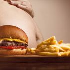 L'obésité endommage irréversiblement le cerveau