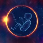 Des chercheurs ont réussi à créer des embryons humains viables, sans sperme ni ovule