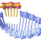 Technologie génétique CRISPR: des avancées pour les enfants ?