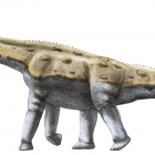 Le géant de la garrigue, Garrigatitan meridionalis, un nouveau genre de titanosaure