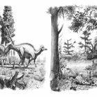 Les dinosaures ont-ils connu un long déclin avant leur extinction ?