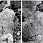 L'astéroïde carboné de Bénou fracturé par des chocs thermiques