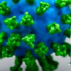 ð Nouveau projet de développement de vaccin nanoparticulaire contre le SARS-CoV-2 , lauréat d'un appel à projet ANR