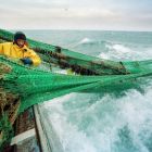 L'impact du chalutage sur les fonds marins déterminé par la science