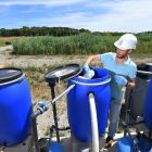 Manque d'eau: comment la réutilisation des eaux usées est devenue une priorité