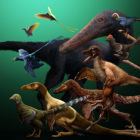 ð Avant d'être des oiseaux, certains dinosaures pouvaient voler