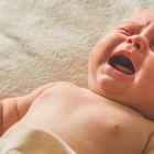 ð L'hypersensibilité expliquerait les pleurs prolongés des bébés