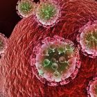 Réservoirs du VIH chez l'homme: un traitement antirétroviral immédiat les rend 100 fois plus petits