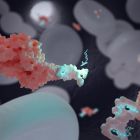 Des nanotransporteurs d'ADN pour traiter le cancer