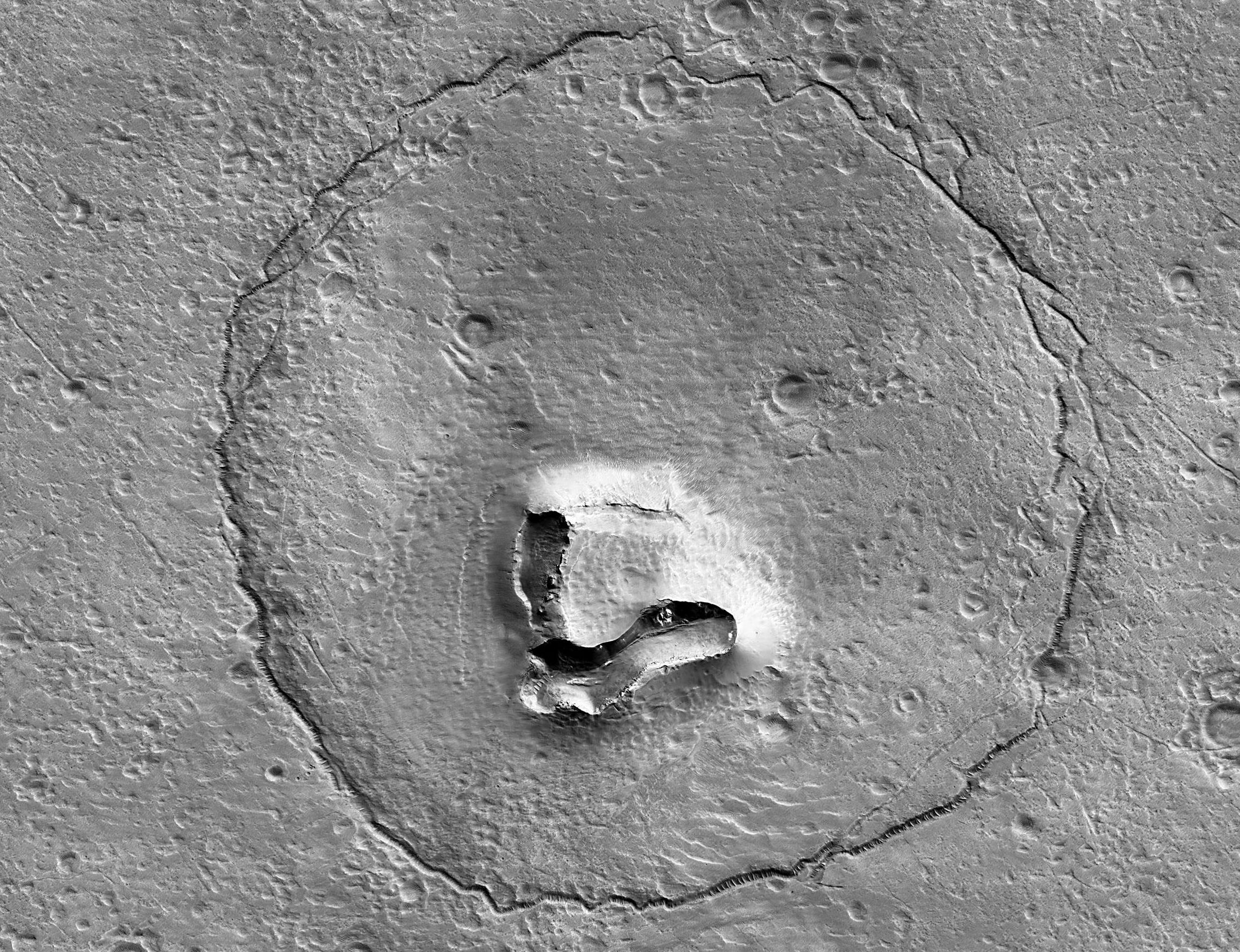 La NASA capture un ours sur Mars - l'explication de la paréidolie Pareidolie-tete-ours