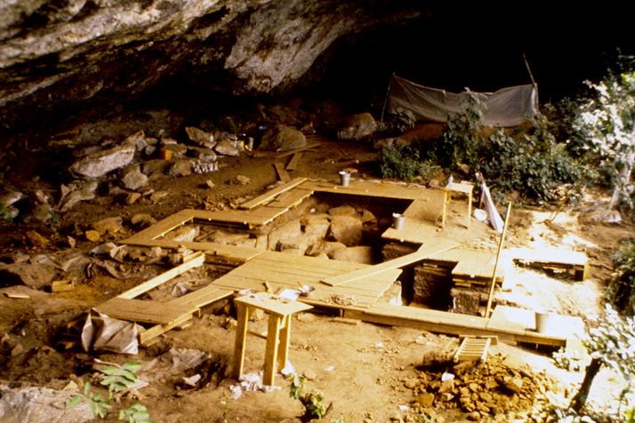 La découverte de corps d’enfants préhistoriques remet en question les origines de l’Homme en Afrique ! (vidéo) Par Yann Contegat Csm_20200122_adn_0f9d0db355